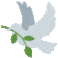 Emoji Colombe