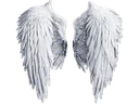 Emoji Ange