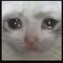 Emoji emoji_3