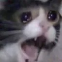 Emoji emoji_15