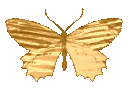Emoji xValoraPap3