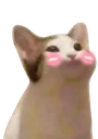 Emoji popcat_shy