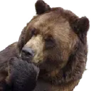Emoji mhmbear