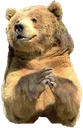 Emoji sokabear