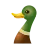 Emoji icons8canard48