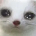 Emoji SadFerret