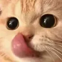 Emoji miam