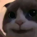 Emoji randomcat