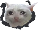 Emoji cryingcat
