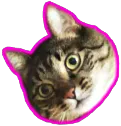 Emoji vaipan