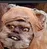Emoji ewok