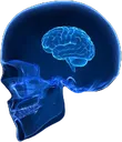 Emoji SkyBrain