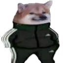 Emoji RT_adidasdoge