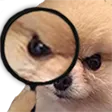 Emoji RT_zangrydog2