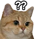 Emoji RT_wutcat