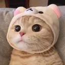 Emoji Catt