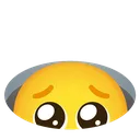 Emoji pleadinghole