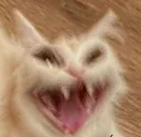 Emoji blurryhypercat