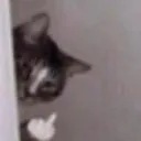 Emoji catfuck