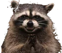 Emoji evilracoon