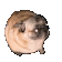 Emoji le_gros_chien_dla_street