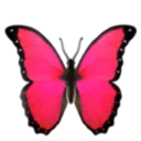 Emoji Papillon2