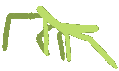 Emoji NLG_stickbug