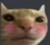 Emoji emoji_32