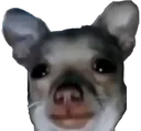 Emoji gilbert1
