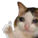 Emoji 03_chatpouce