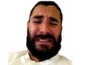 Emoji arrete