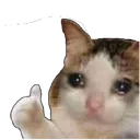 Emoji Catok