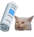 Emoji idiot