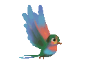 Emoji oiseaux