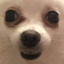 Emoji doglu