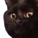 Emoji SnickersShocked