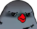 Emoji annoyedbird