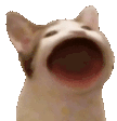 Emoji IP033