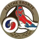 Emoji fleche_bronze