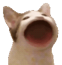 Emoji popcat