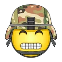 Emoji emoji_37