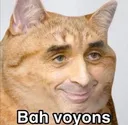 Emoji zemmourlebon
