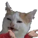 Emoji catwtf