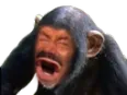 Emoji risiouille