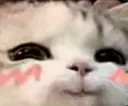 Emoji emoji_30