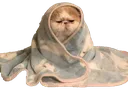 Emoji chatcouette1