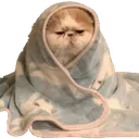 Emoji chatcouette2