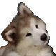 Emoji woarf