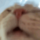 Emoji cat_lick