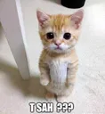Emoji t_sah